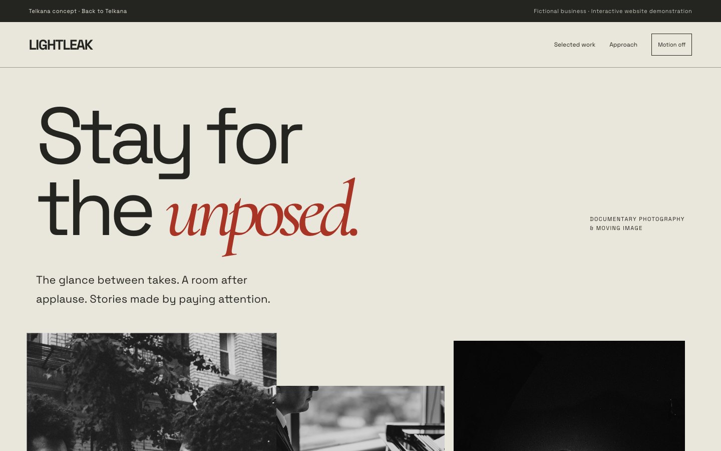 LIGHTLEAK website preview